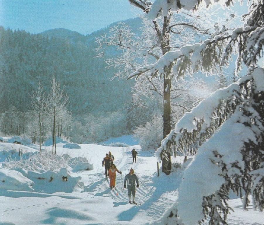 Fewo Schlosspark Grubhof Sankt Martin bei Lofer Dış mekan fotoğraf