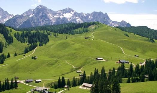 Fewo Schlosspark Grubhof Sankt Martin bei Lofer Dış mekan fotoğraf
